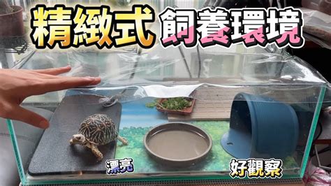 廣州書店 做生意養烏龜